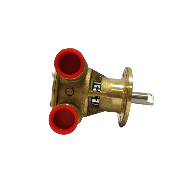 Johnson Pump Selbstansaugende Bronzene Kühlwasser-Impellerpumpe F5b-9 (Nanni Diesel)