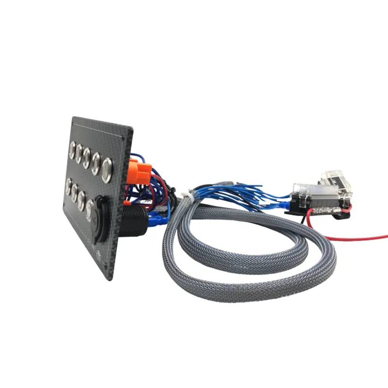 Satz mit 24 Etiketten für Die Schalttafel, Polycarbonat In Carbon-Optik