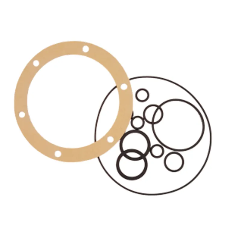 Seal Kit für Gm0-Mra (Pumpe für Ge30)