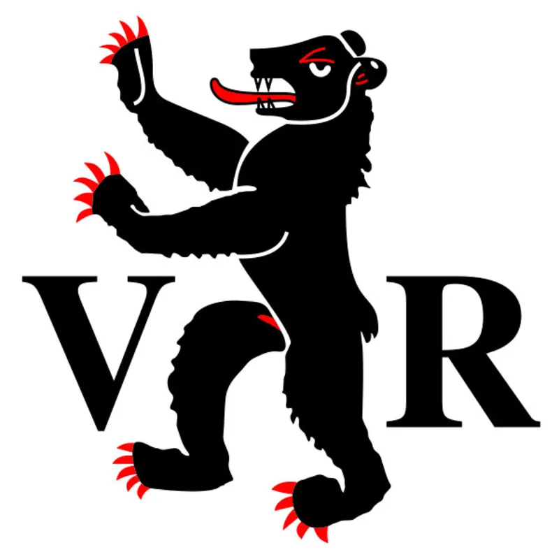 Appenzell Flagge 20x30cm