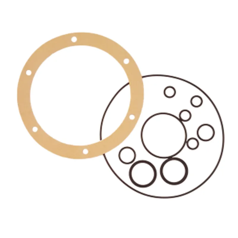 Seal Kit für Gm2-Mra01 (Pumpe für Ge50)