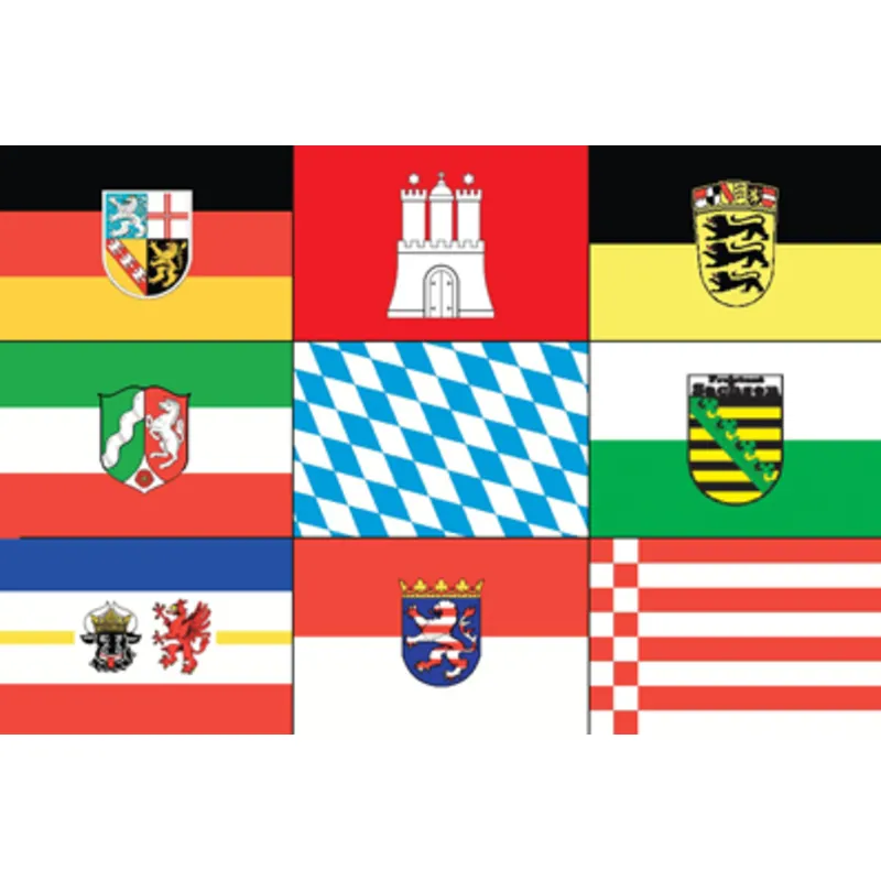 Berlin Flagge 20x30cm