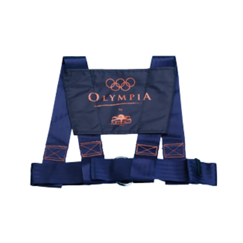 Sicherheitsgurt Modell 'Olympia' mit Niro Schnalle & Ring, Brustumfang 800-1200mm, Navy