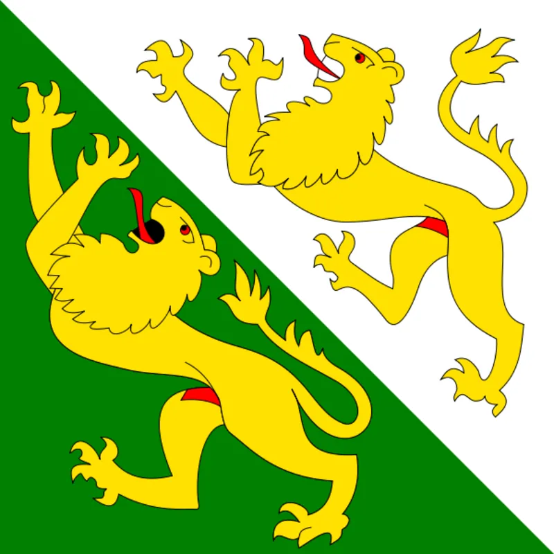 Thurgau Flagge 20x30cm