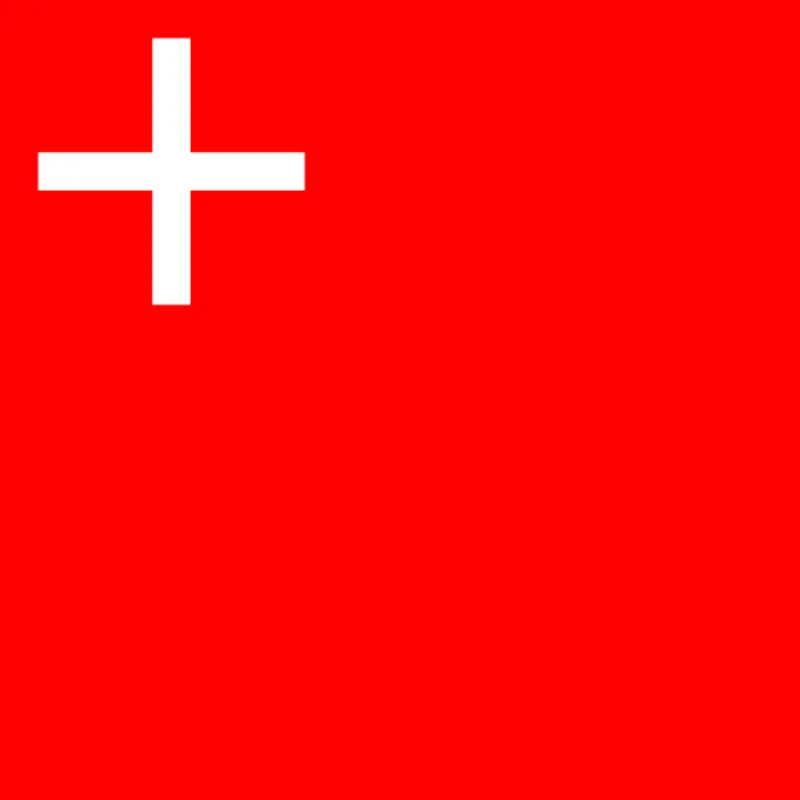 Schwyz Flagge 20x30cm