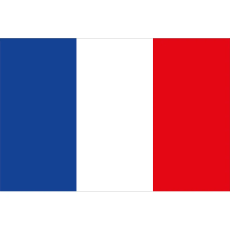 Französische Flagge 20x30cm