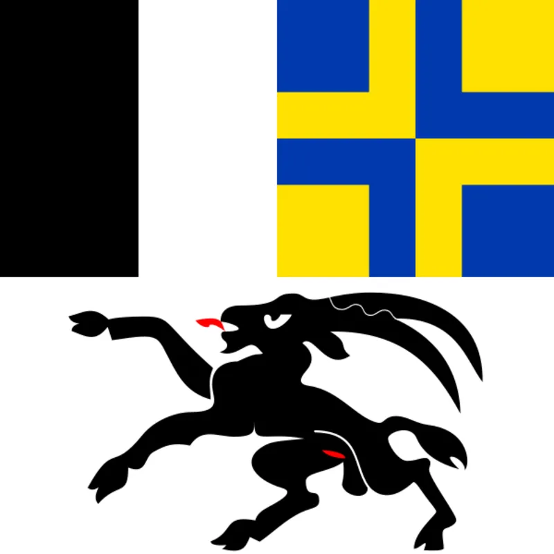 Graubünden Flagge 20x30cm