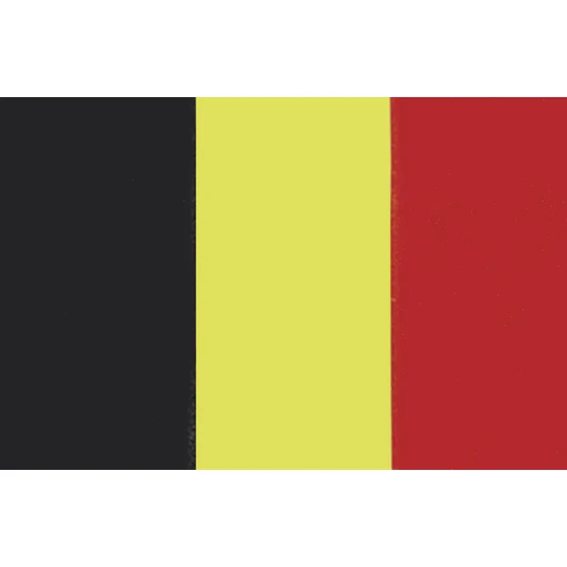 Belgische Flagge 20x30cm