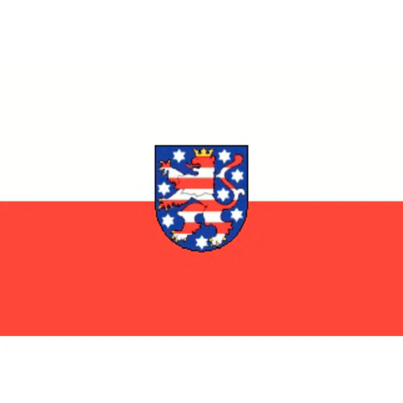 Thüringen Flagge 20x30cm