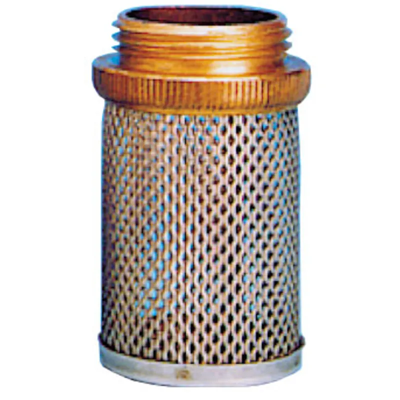 Niro Ansaugsieb/Rückschlagventil, 3/4"